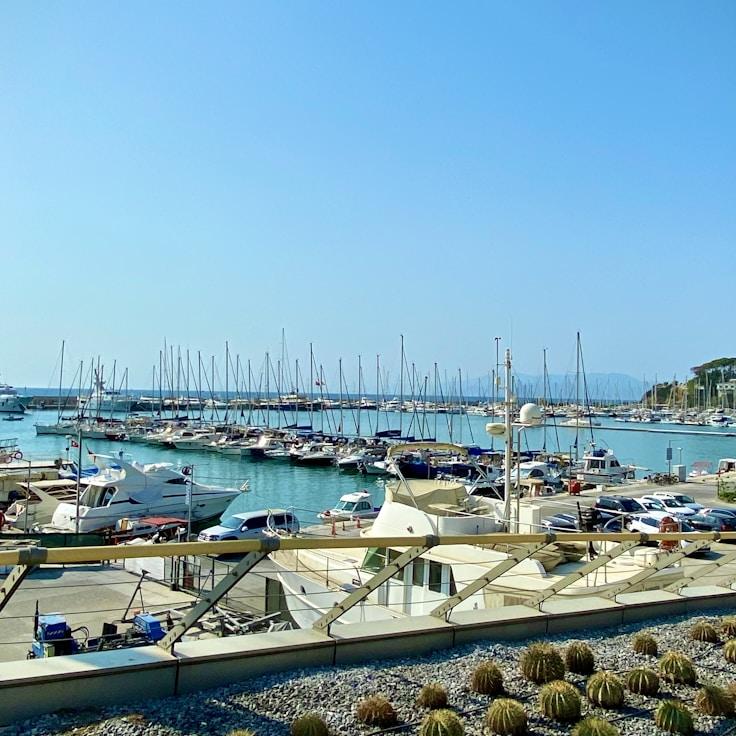 NeutralCommonsMeadow yacht fleet